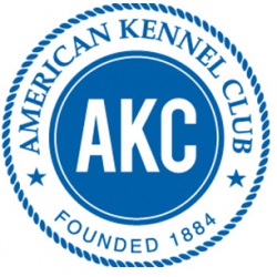AMERICAN KENNEL CLUB