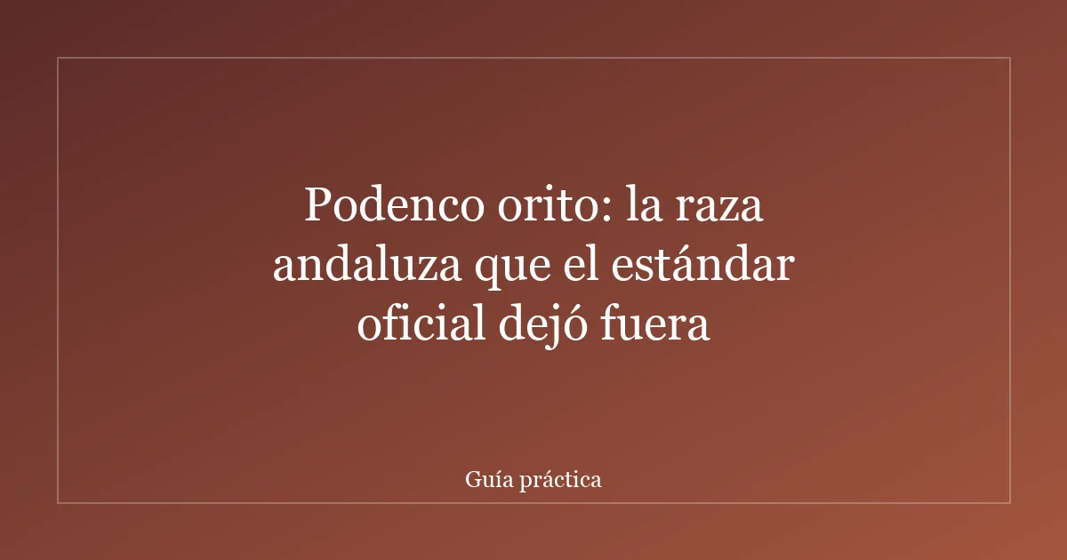 Podenco orito: la raza andaluza que el estándar oficial dejó fuera