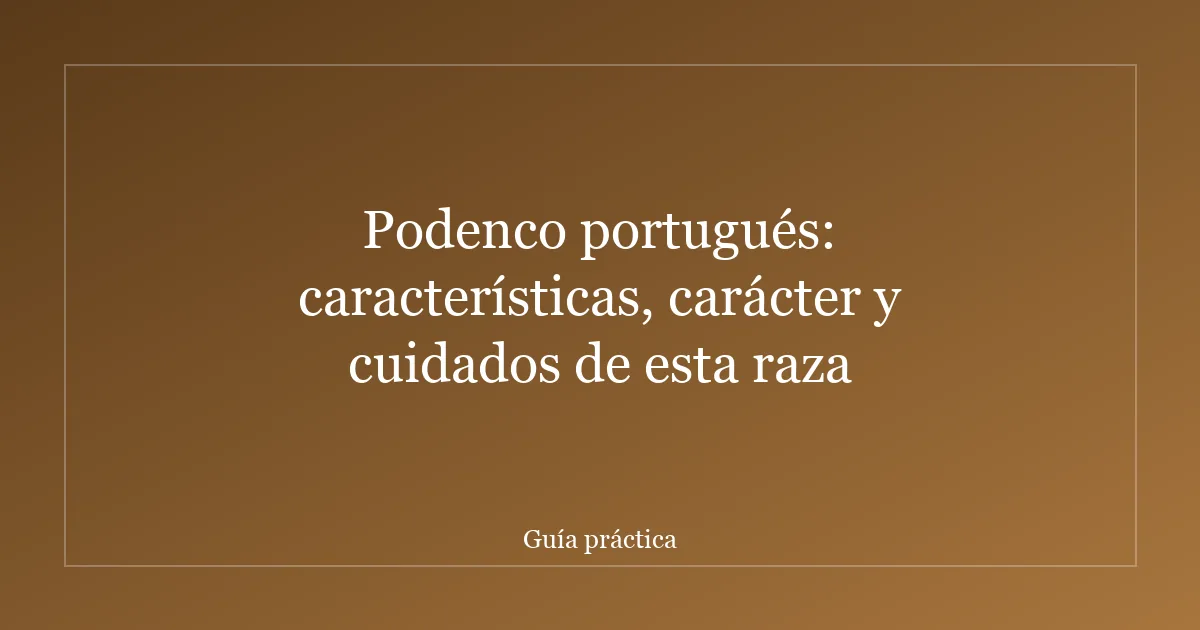 Podenco portugués: características, carácter y cuidados de esta raza