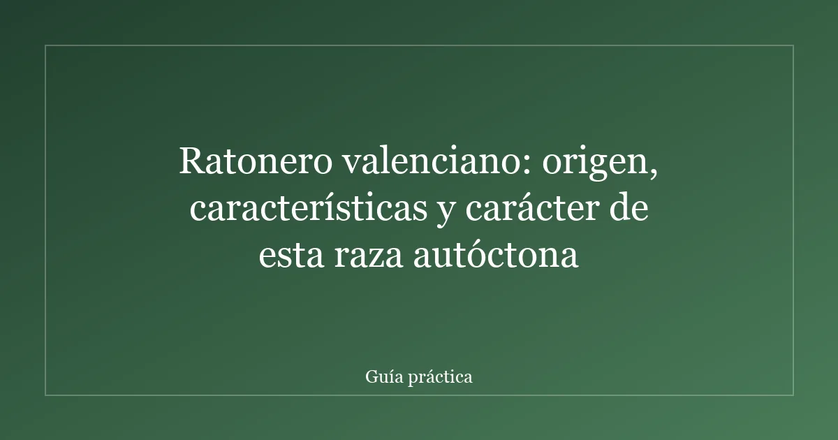Ratonero valenciano: origen, características y carácter de esta raza autóctona
